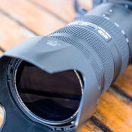 Lens hood versus Polarizing filter: What are the differences between them?